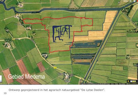 Wettermerk geprojecteerd in het land van Miedema